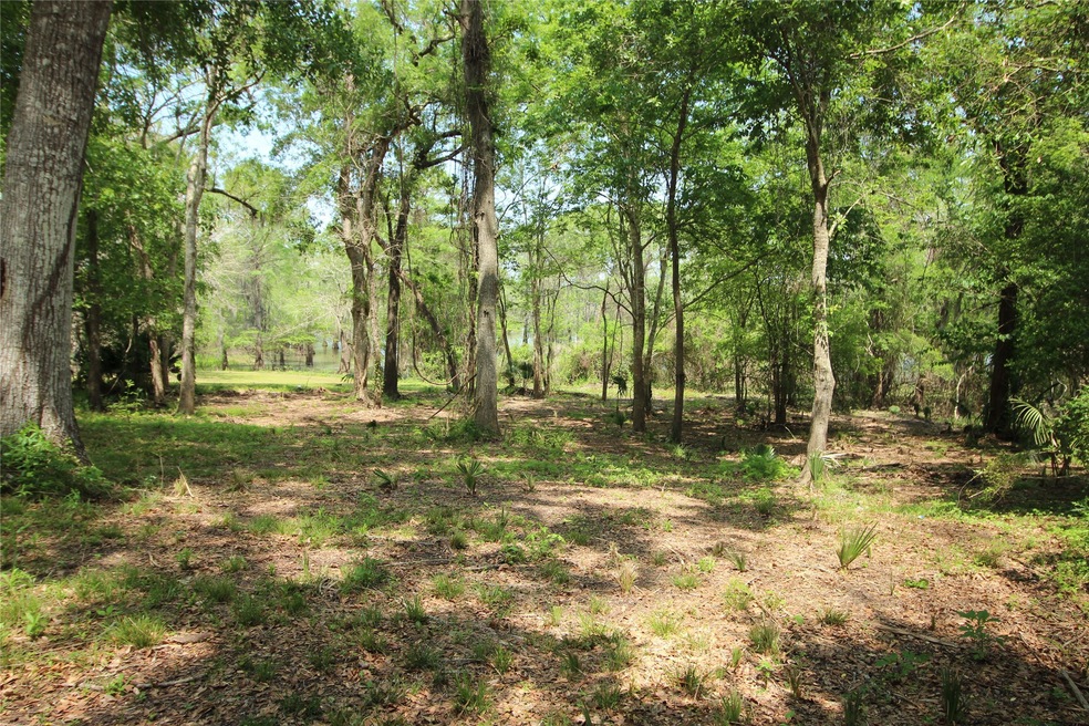 0 County Road 417 Parkway Dr unit 73304911, Dayton, TX 77535 - photo 1