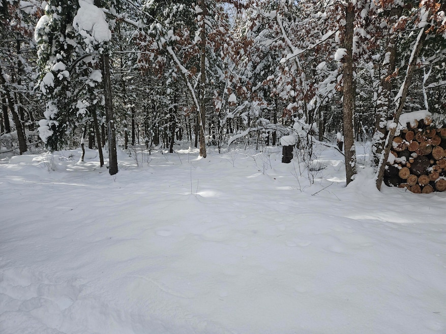 7106 Michigan 37, Irons, MI 49644 - photo 1