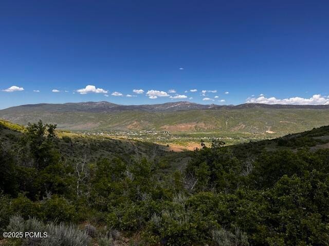 5012 S Sheep Dog Trail unit 22, Woodland, UT 84036 - photo 1