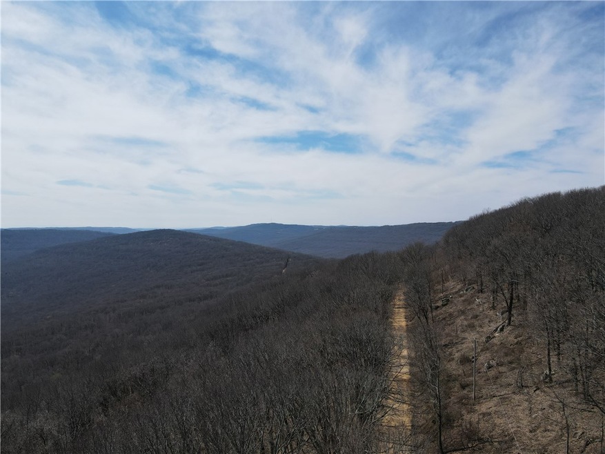 0 S Winfrey Valley Rd unit 1243483, Winslow, AR 72959 - photo 1