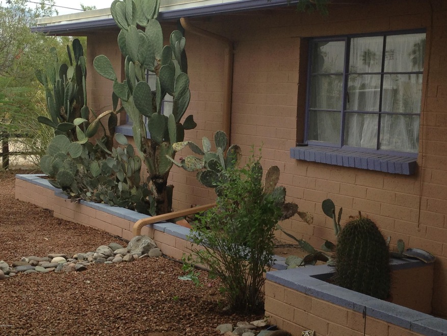 Charming front yard!