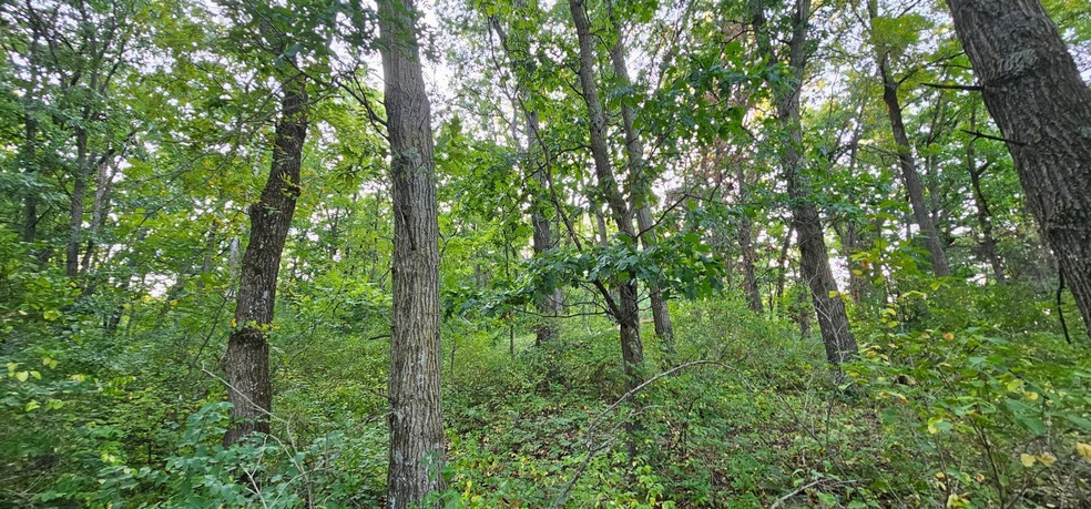 TBD Village Rd, City of Rushford Village, MN 55971 - photo 1