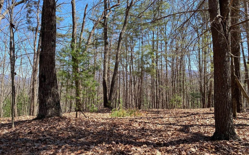 000 Flagpole Rd, Ellijay, GA 30540 - photo 1