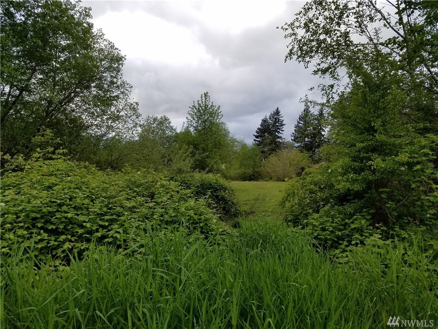 3520 300th St NW, Stanwood, WA 98292 - photo 1