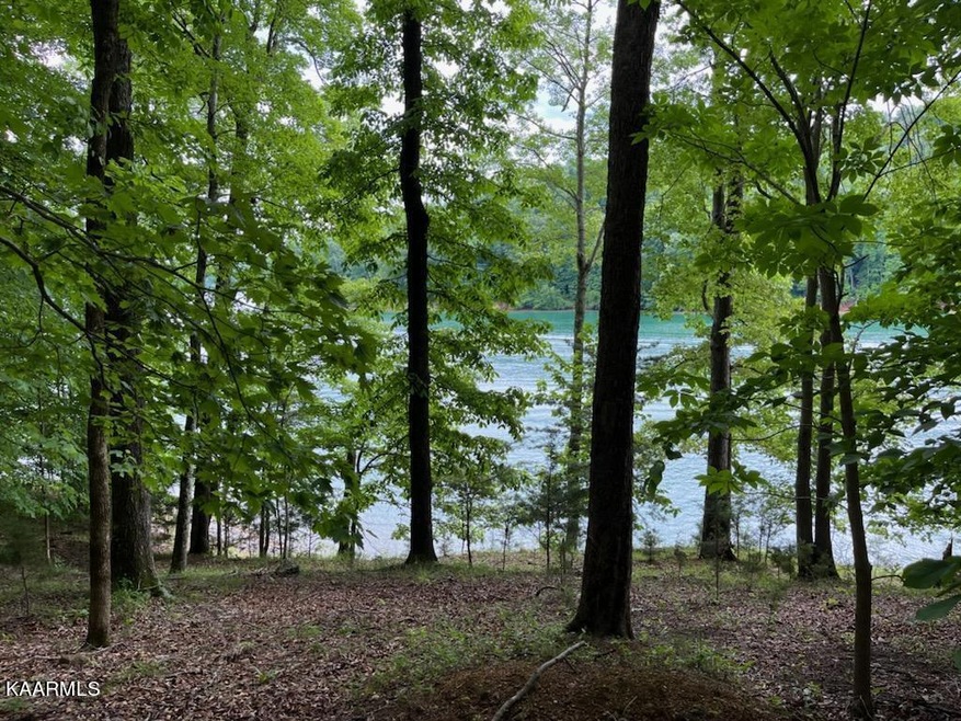 deer run circle david 5