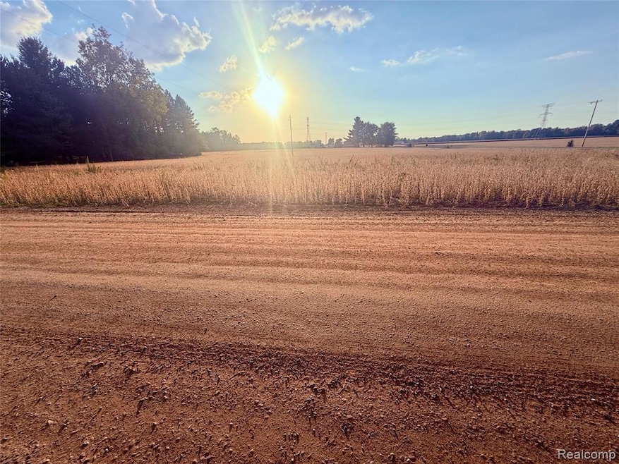 00 Raucholz Rd, Brant Township, MI 48616 - photo 1