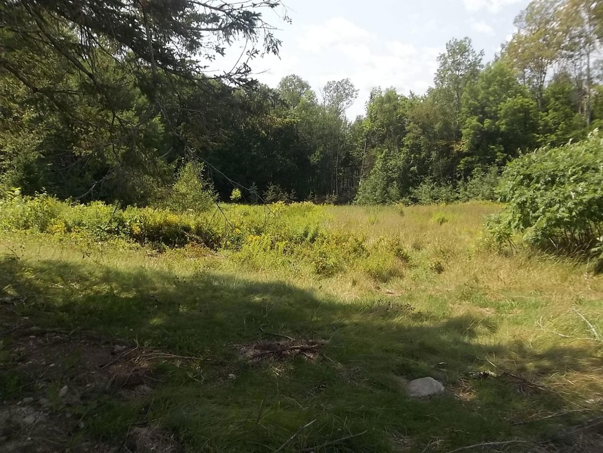 Dodge 4.5 Acres