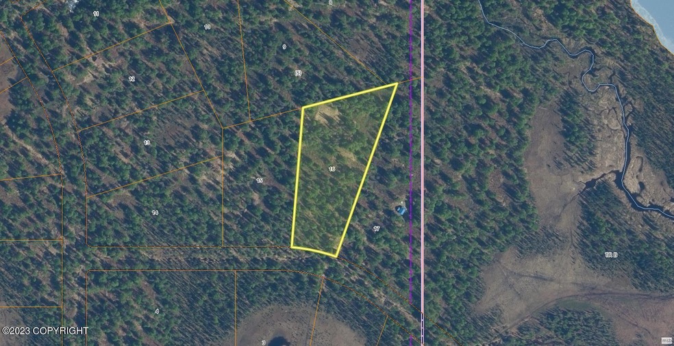 4.31 acres of Alaskan paradise