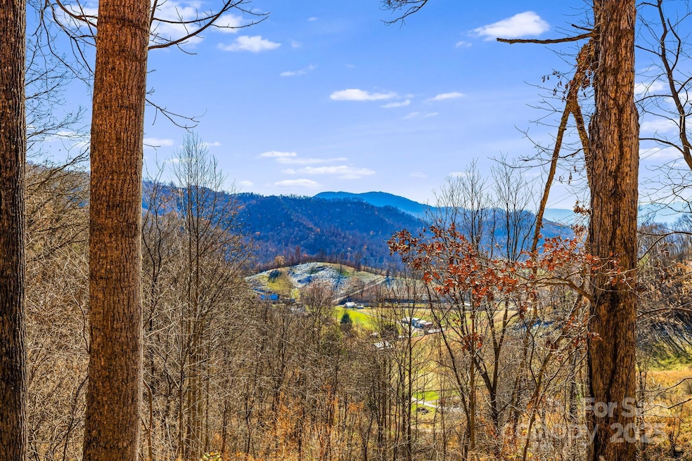 550 Cale Way, Clyde, NC 28721 - photo 1