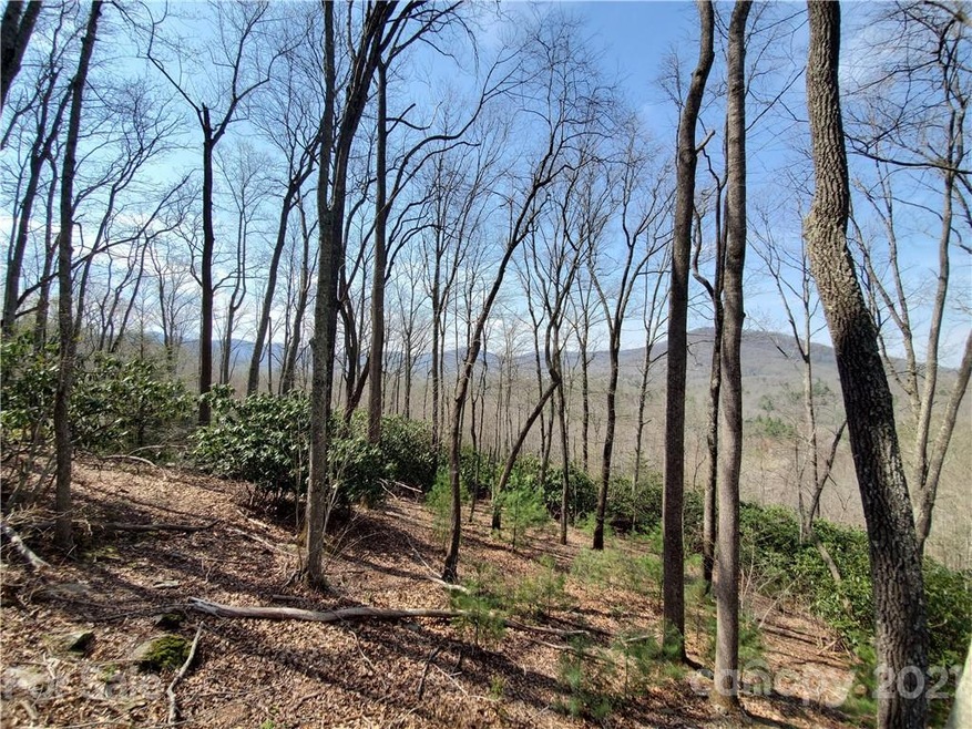 211 Secluded Hills Ln unit 12, Arden, NC 28704 - photo 1