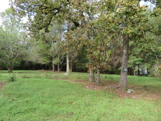 28211 Hickory Hill Dr, Hockley, TX 77447 - photo 1