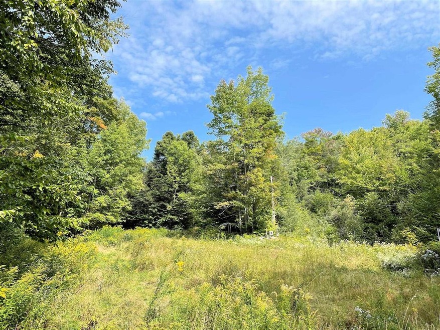 VT Vermont Route 100, Weston, VT 05161 - photo 1