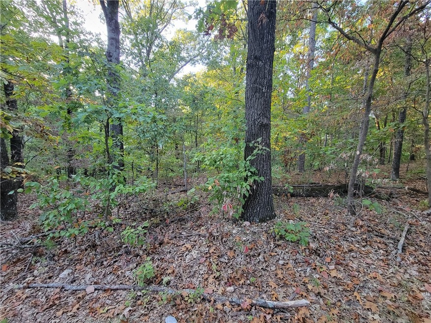0 Cockerham Ln, Bella Vista, AR 72714 - photo 1