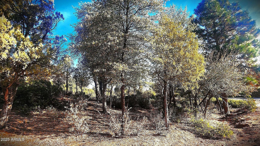 2812 E Coyote Mint Cir unit 56, Payson, AZ 85541 - photo 1