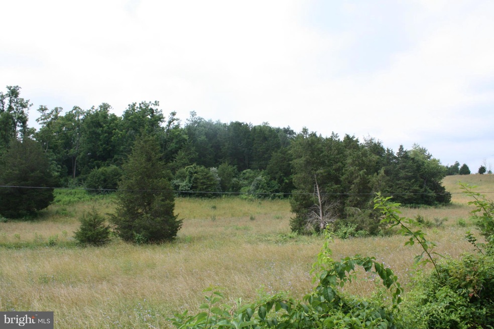 0 Mt Hebron unit 1003241155, Strasburg, VA 22657 - photo 1