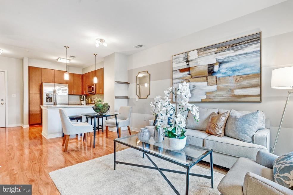 8005 13th St unit 204, Silver Spring, MD 20910 - photo 1