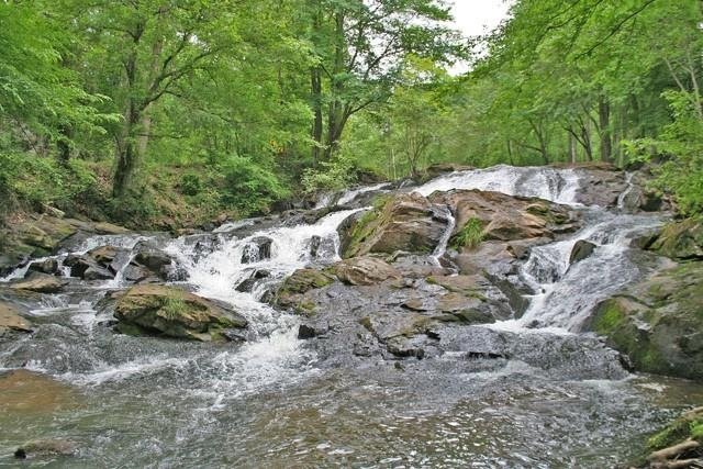 The Falls of Clay Creek