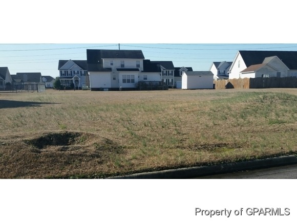 408 Selby Ct, Winterville, NC 28590 - photo 1