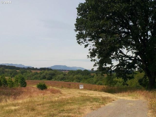 0 Ballston (Off Of) Rd unit 14474319, Sheridan, OR 97378 - photo 1