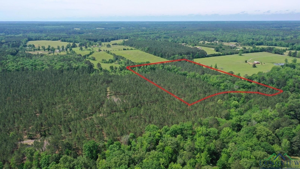 Birds eye view of property featuring a view of tre