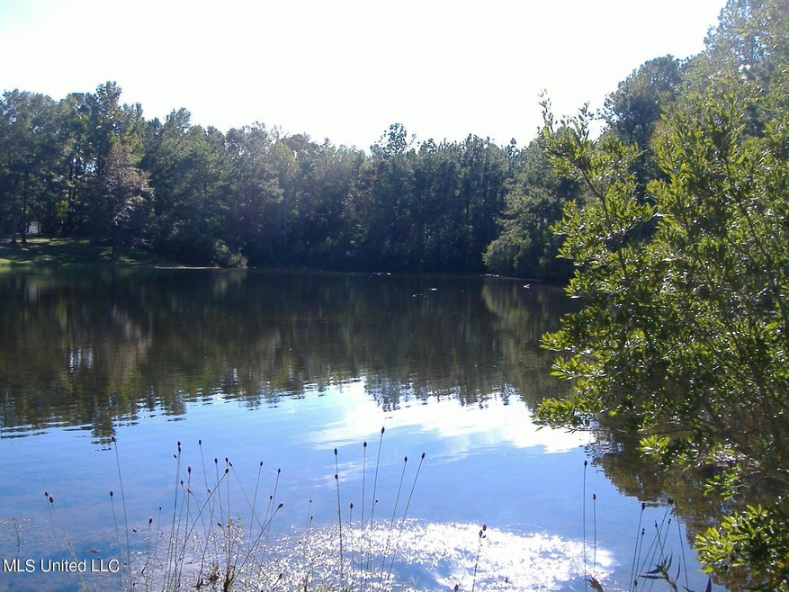 Pond View