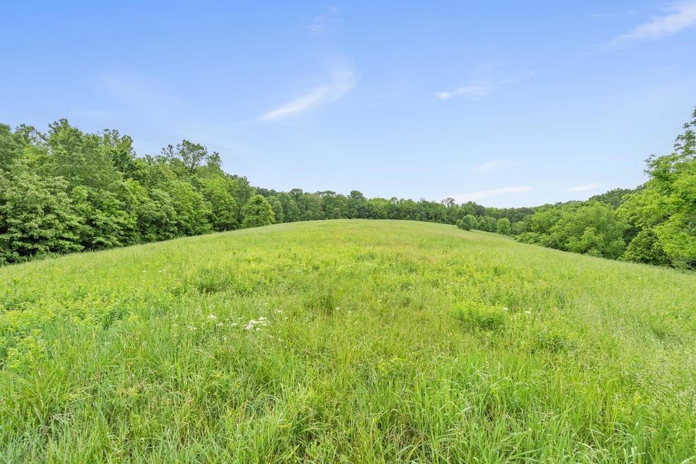 3-web-or-mls-DSC04128
