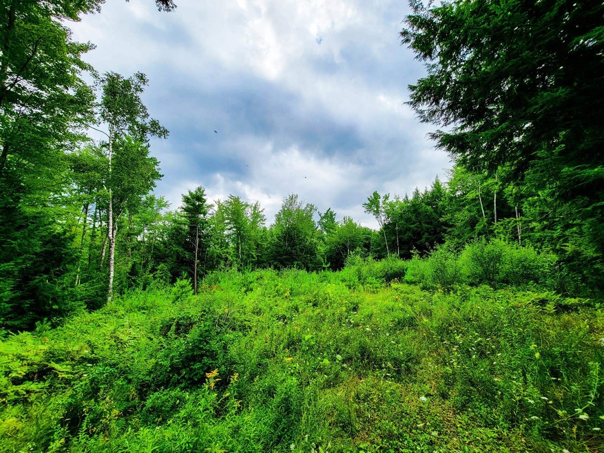 261 Porter Rd, Plainfield, NH 03781 - photo 1