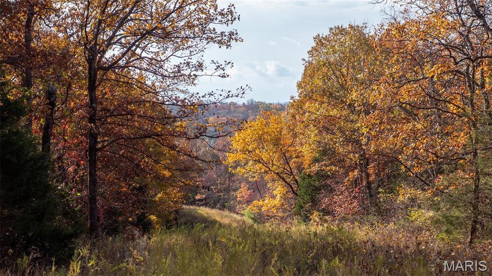 000 Mo-V, Union, MO 63084 - photo 1