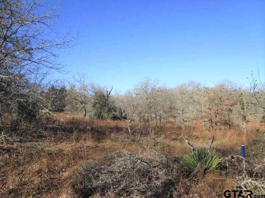 00 Brentwood Dr, Athens, TX 75751 - photo 1