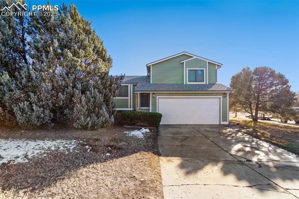 101 Blossom Field Ct, Fountain, CO 80817 - photo 1