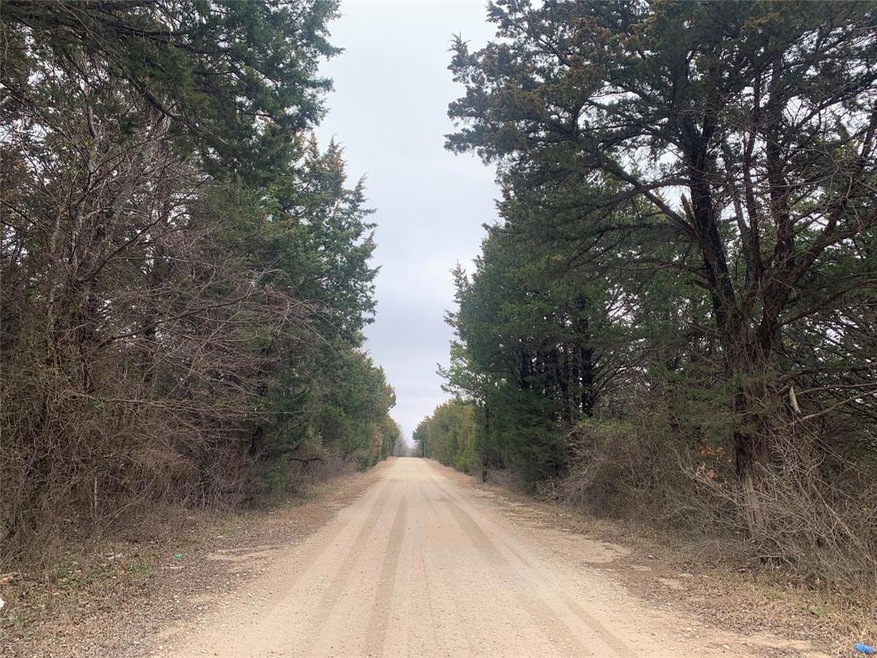 TBD Isbon- Tract 1, Whitesboro, TX 76273 - photo 1