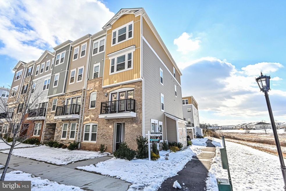 41946 Pickwick Mill Terrace, Stone Ridge, VA 20105 - photo 1