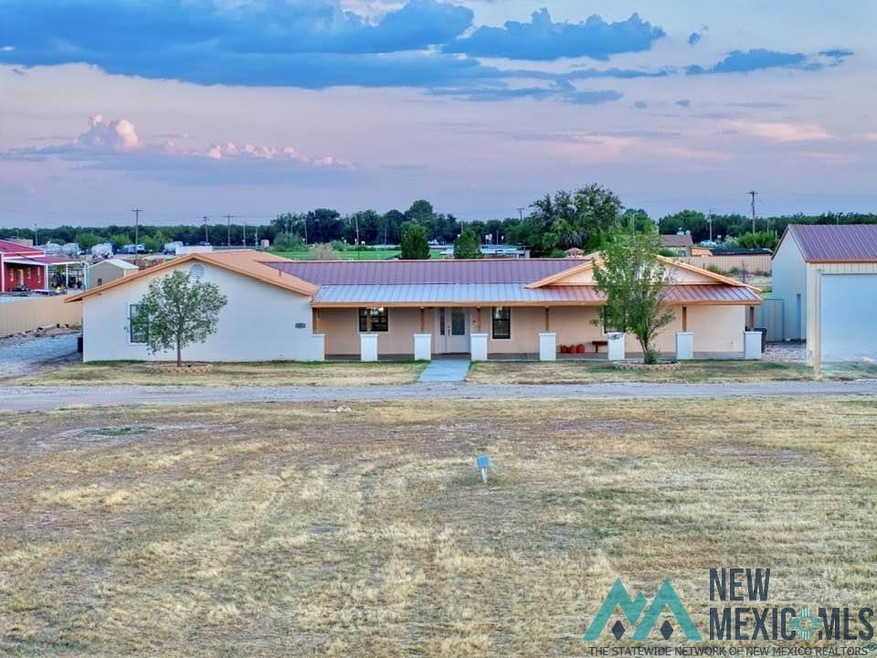 1007 Carnation Aly, Carlsbad, NM 88220 - photo 1