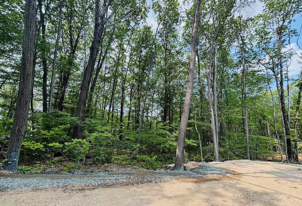 Lot F-88-9 Aria Hill Dr, Wilton, NH 03086 - photo 1