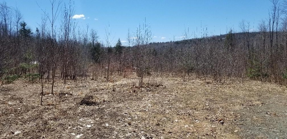 Land/Lot