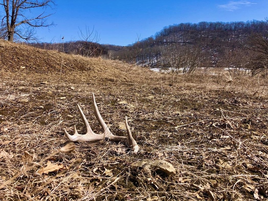 XX57 E Burns Valley Rd, Wilson Township, MN 55987 - photo 1