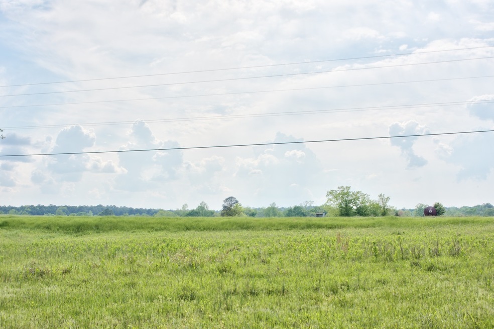 Tr 2 Parks Mill Rd, Buckhead, GA 30625 - photo 1