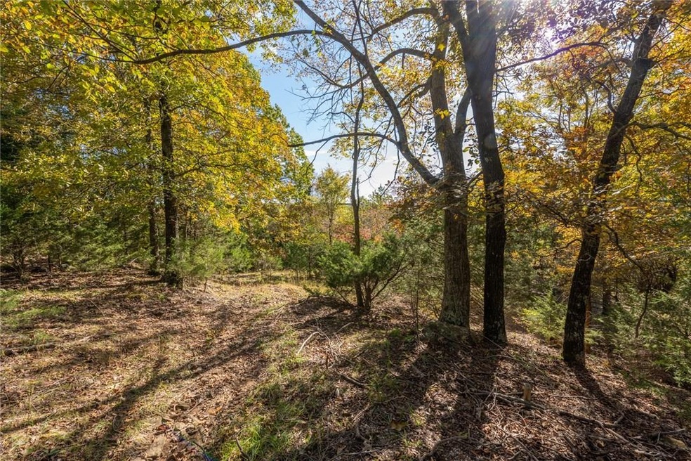 16898 Misty Wood Rd, West Fork, AR 72774 - photo 1