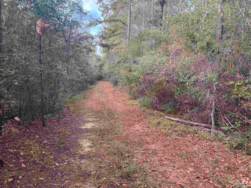 0 Ryan Rd, Crestview, FL 32539 - photo 1