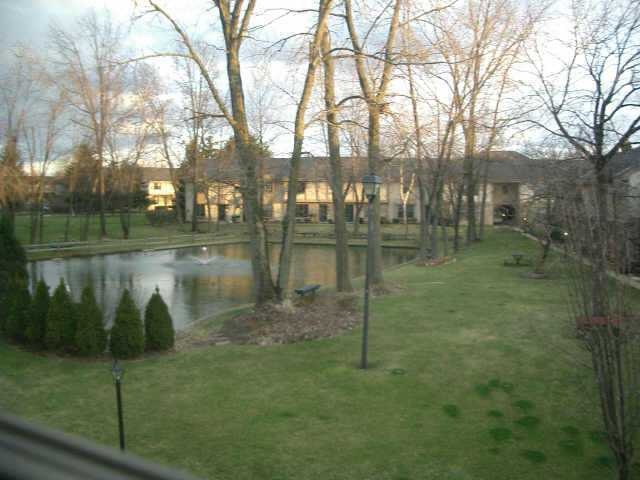 Primary Photo