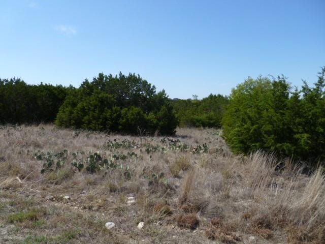 8011 Fawn Dr, Whitney, TX 76692 - photo 1