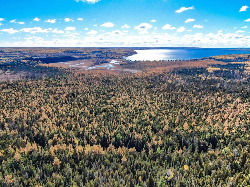 0 Hubbard Lake Rd unit 25571195, Hubbard Lake, MI 49747 - photo 1