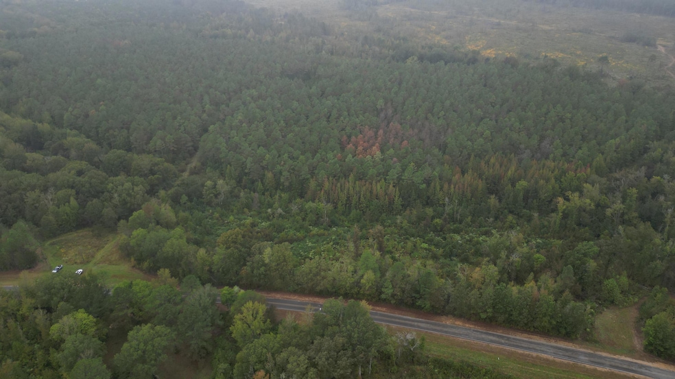 0 Maben-Bell Schoolhouse Rd, Maben, MS 39759 - photo 1