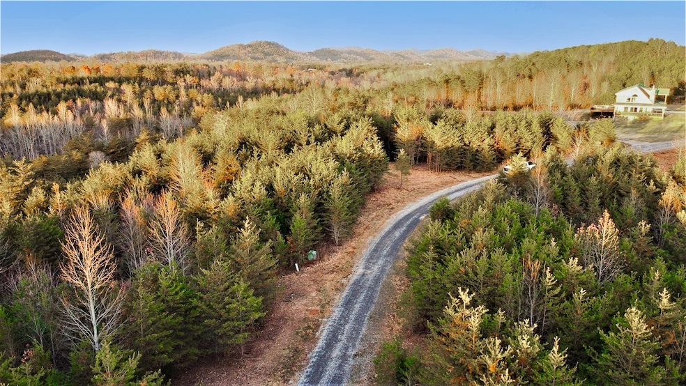 0 Jones Dr unit RTC2980310, Tellico Plains, TN 37385 - photo 1