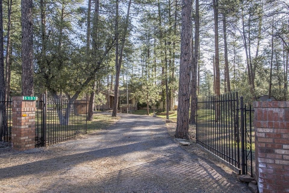 Front entry gate & driveway