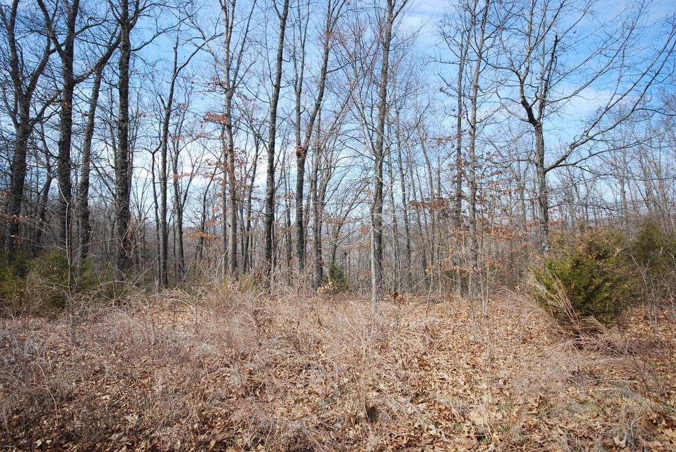 Lot 4 Irish Hills Blvd, Kimberling City, MO 65686 - photo 1