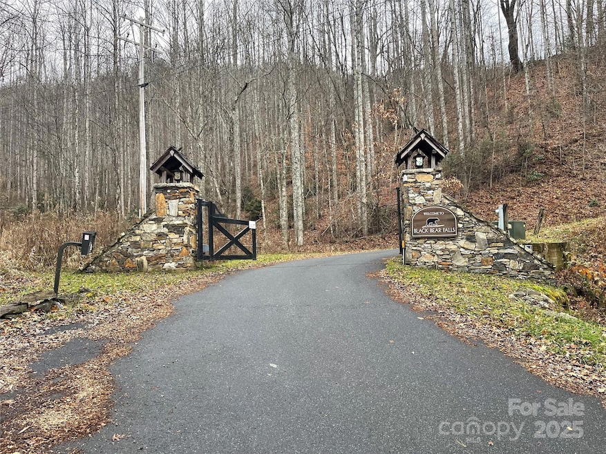 805 Sparkling Falls Rd, Whittier, NC 28789 - photo 1