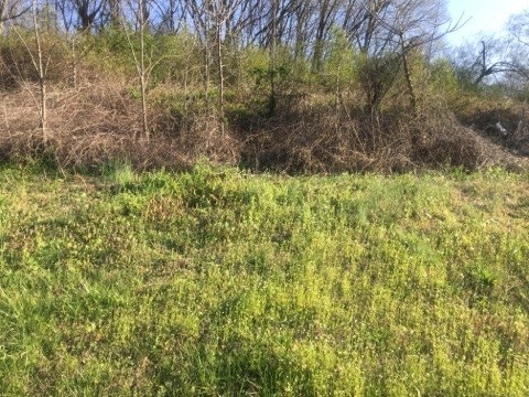 0 E Mobile St, Florence, AL 35630 - photo 1