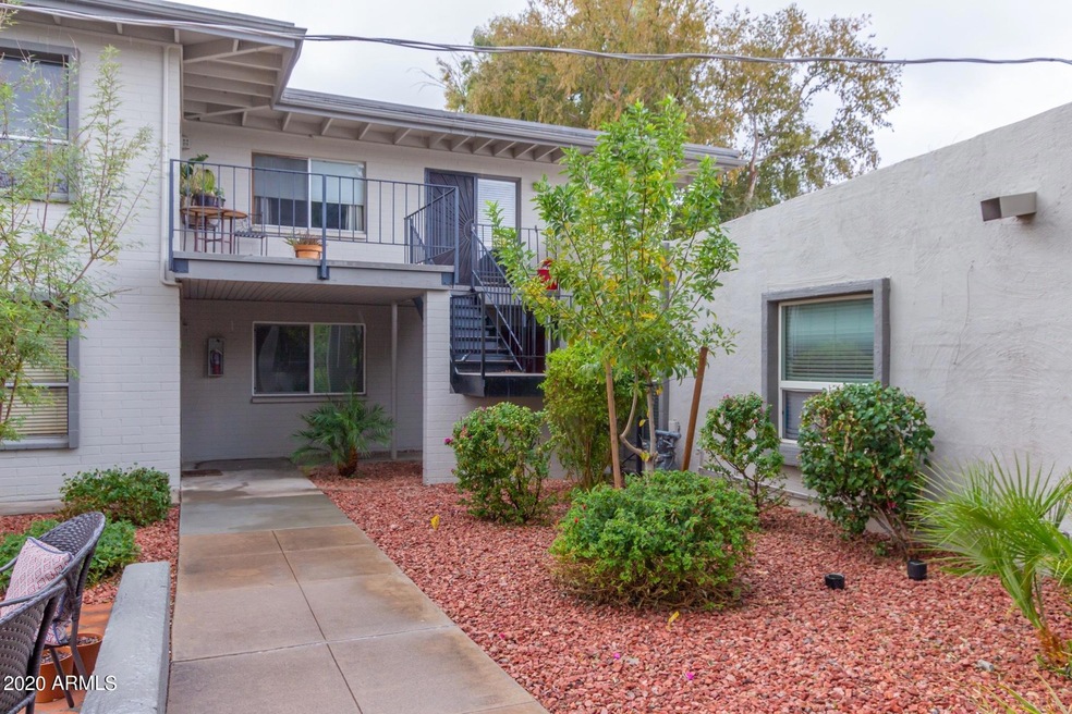 0023-Camelback 23