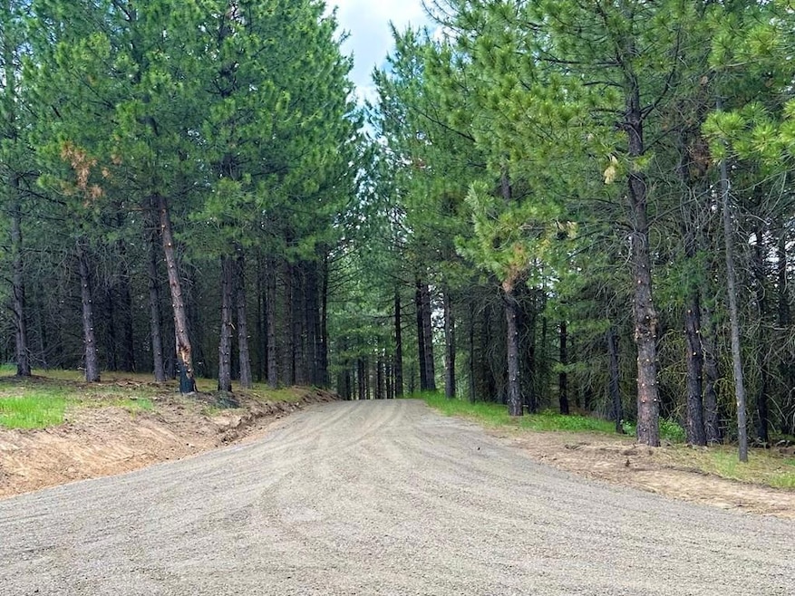 Lot 40 Challis Ln unit 40, Cascade, ID 83611 - photo 1